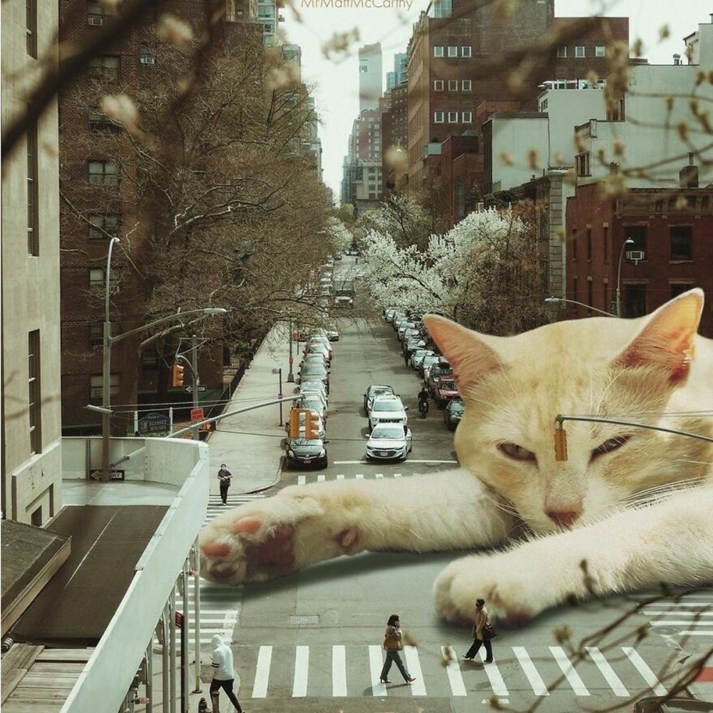 Meet your Posher, Lola